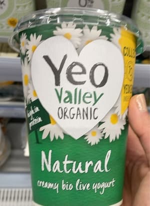 Yogurt